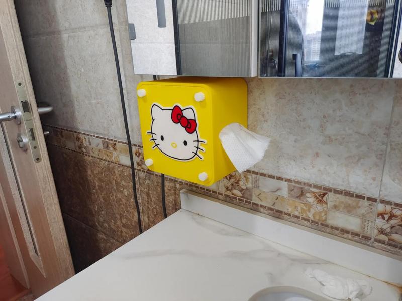 Wall-mounted Hello Kitty facial tissue box