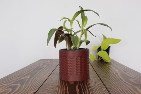 Astra Planter