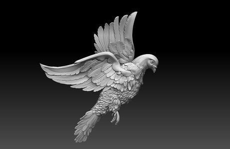 dove pigeon