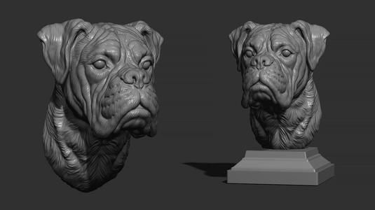 Deutscher Boxer bust