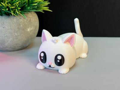 Cute Cat