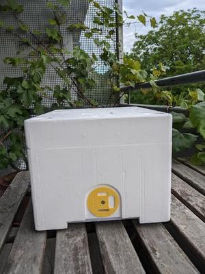 Bee nuc mating hive entrance   