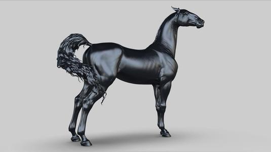 Akhal-Teke horse I 3D Sculpting