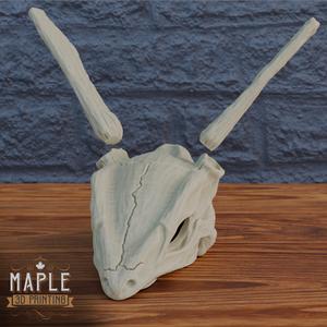Rayquaza Skull – Pokemon