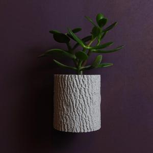Tree bark planter “Fraxinus Excelsior”