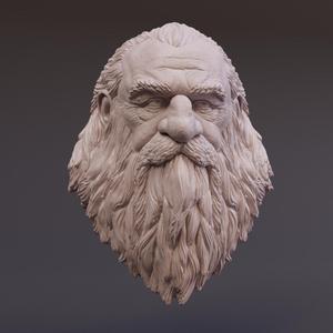 Dwarf Trophy Head