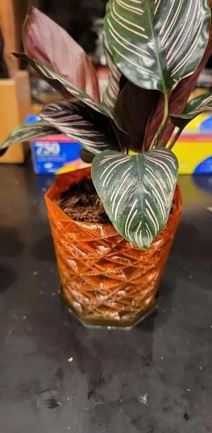 Geometric Planter Pot – Vase Mode