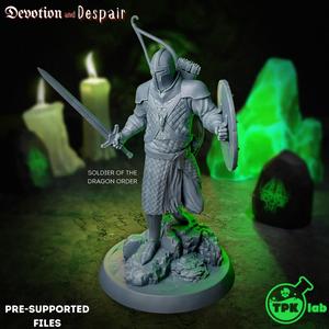 Soldier of the Dragon Order