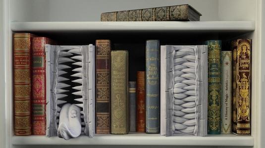 Mimic Booknook