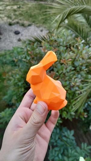 Bunny Vase Mode