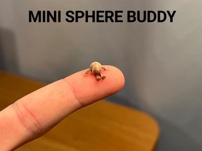 Mini Sphere Buddy