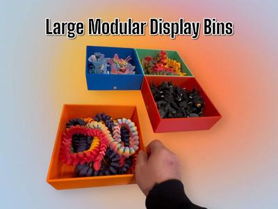 Large Modular Display Organizer Bin