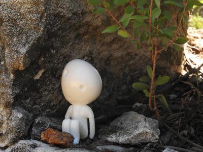 KODAMA