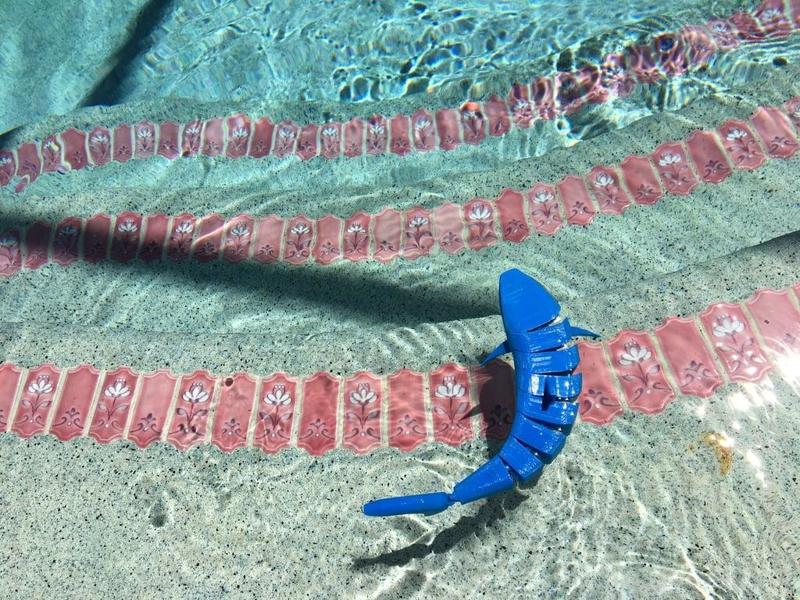 Articulating 3D Shark