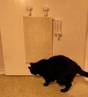 scratchboard_treat_dispenser