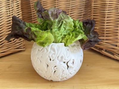 Lactuca Round Bowl