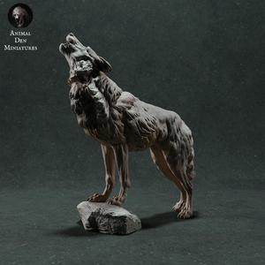 Iberian Wolf Howling