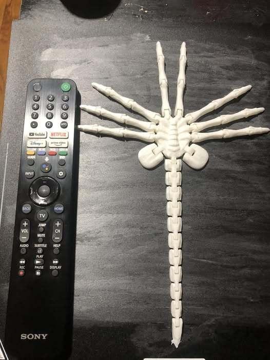 Face Hugger!