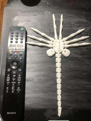 Face Hugger!
