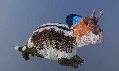 Triceratops Calf