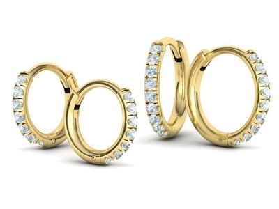 Two Hoop Earrings Collection with discount