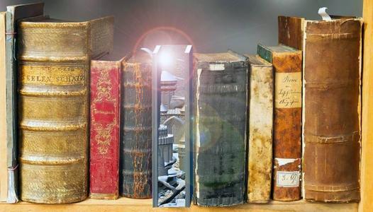 Bookshelf Insert – Magic Book