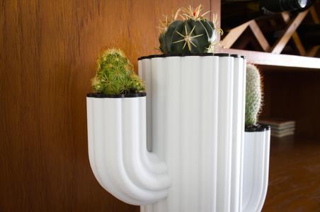 Cactus Planter – Cactus Inception