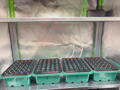 Cutting Propagator with Active Oxygenation