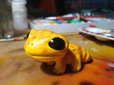 Cute Gecko