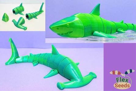 Flexi Shark & Hammerhead Set