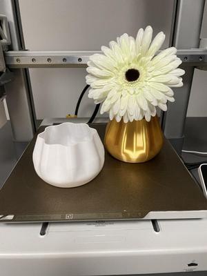 decorative plant vase pot