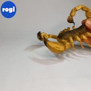 ARTICULATED SCORPION