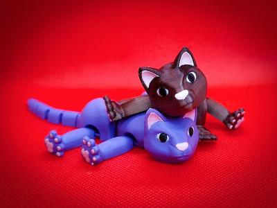 Fabulous Flexi Felines – AKA Flexi Cats