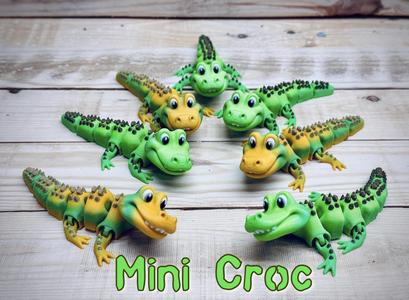 Mini Croc