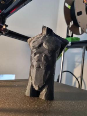Low poly male torso