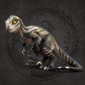 Baby raptor