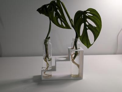 Staircase Plant Propagation Test Tubes Holder