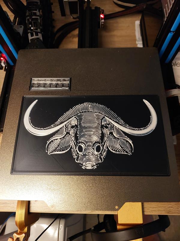 Buffalo Portrait 1