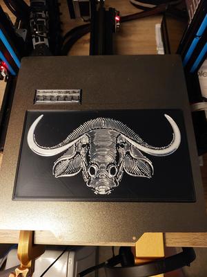 Buffalo Portrait 1