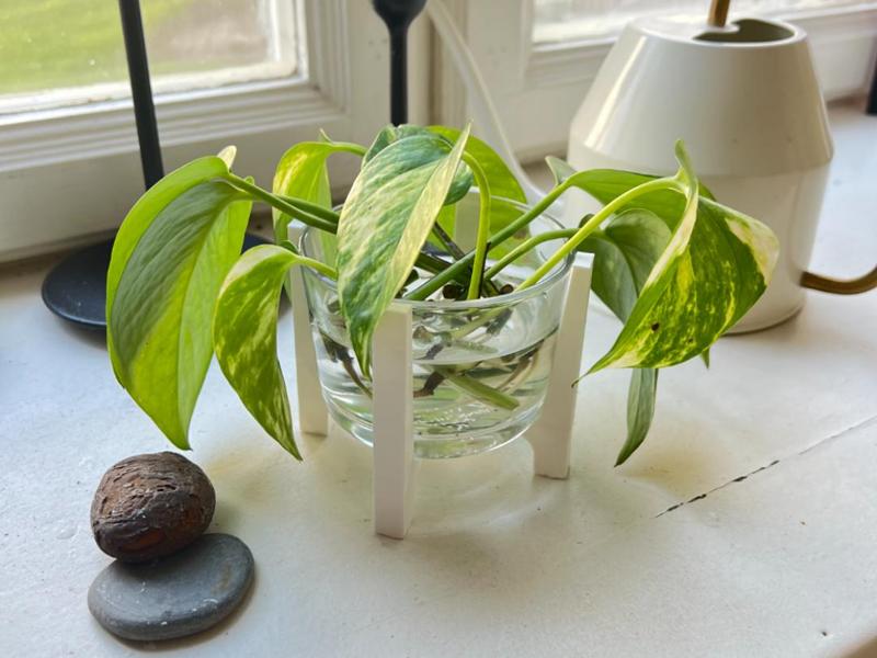 Ikea clear glass 18cl stand