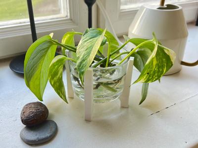 Ikea clear glass 18cl stand