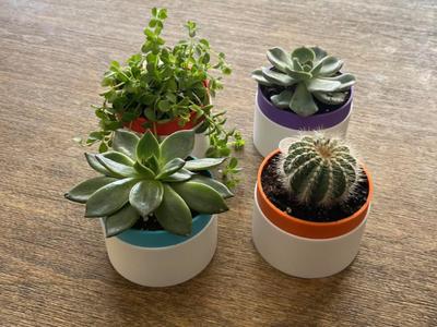 Self Watering Pot