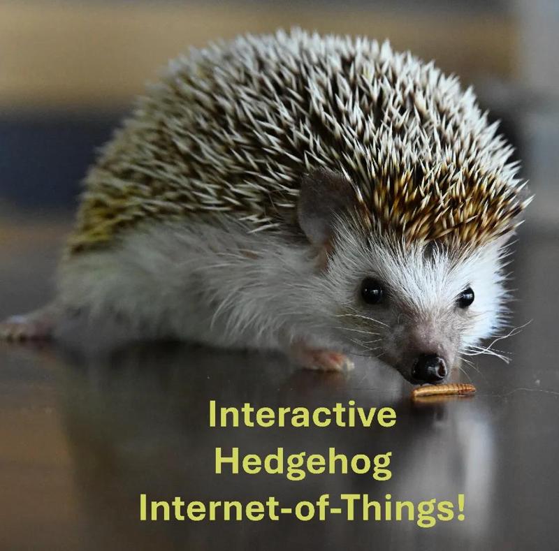 Hedgehog IOT:  Speedometer, odometer, mealworm reward dispenser, food scale, and environment tracker