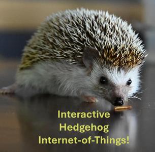 Hedgehog IOT:  Speedometer, odometer, mealworm reward dispenser, food scale, and environment tracker