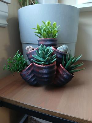 Multi-Level Succulent Planter Wall Hanging
