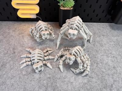 Flexi Skeleton Spider V1