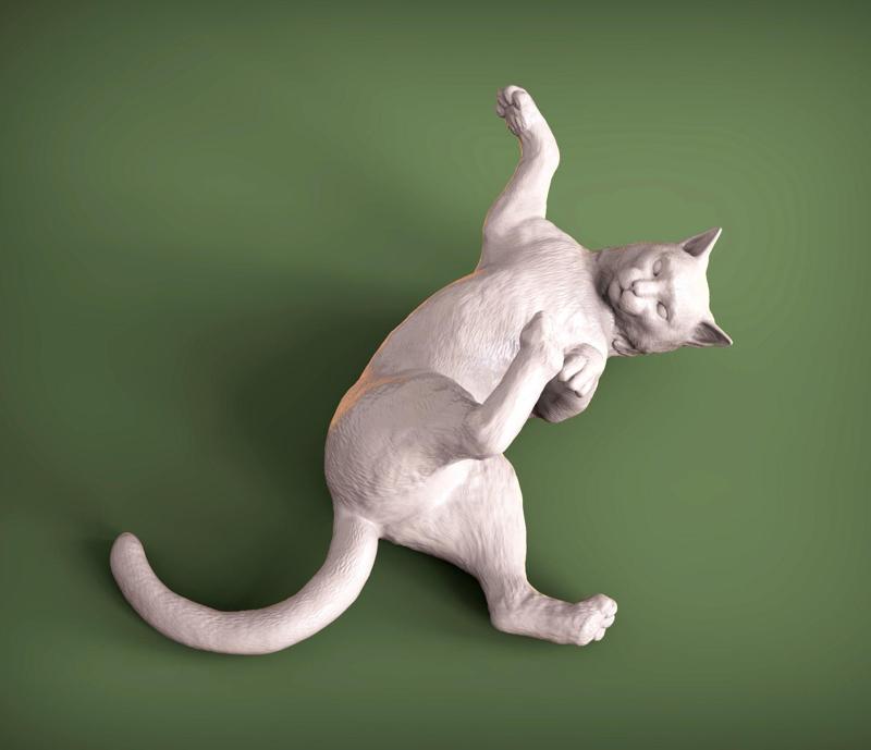 Cat for 3D printing