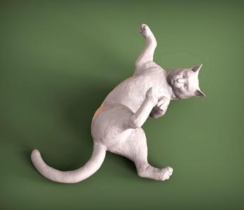 Cat for 3D printing