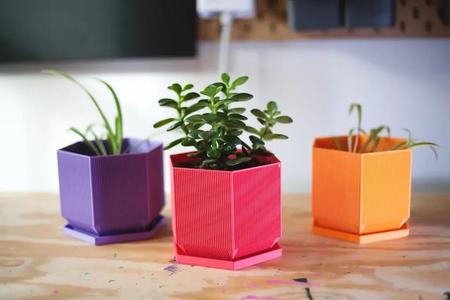hexagonal planter