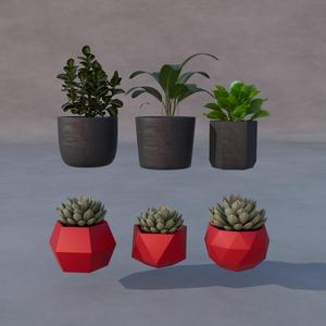 Concrete Planter Collection x 6 Models
